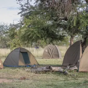 Explore 6 Days Mount Kilimanjaro Machame Route Climb for 6 days with  Travel Africa Safari Agency and discover unforgettable experiences - Photo 4