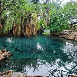 Explore Affordable Chemka Hot Springs Day Tour(Kikuletwa hotsprings) for 1 days with  Travel Africa Safari Agency and discover unforgettable experiences - Photo 4
