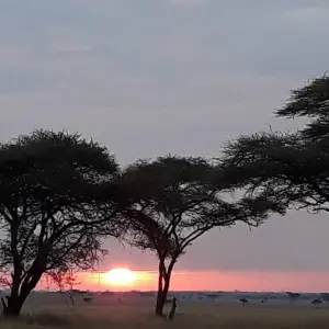 Explore 6 Days Mount Kilimanjaro Machame Route Climb for 6 days with  Travel Africa Safari Agency and discover unforgettable experiences - Photo 5