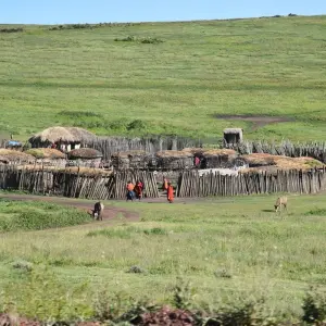 Explore 3 Days Group Camping Safari Tour Tanzania for 3 days with  Travel Africa Safari Agency and discover unforgettable experiences - Photo 5