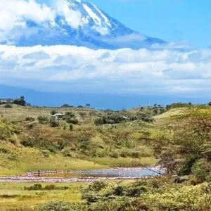 Explore 6 Days Mount Kilimanjaro Machame Route Climb for 6 days with  Travel Africa Safari Agency and discover unforgettable experiences - Photo 6