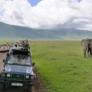 Explore Full-Day Trip to Ngorongoro Crater From Arusha Town for 1 days with  Travel Africa Safari Agency and discover unforgettable experiences - Photo 9