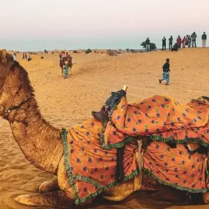 Explore The Royal Rajasthan Journey  : 8 Days! for 8 days with  Taj Voyages Tours  and discover unforgettable experiences - Photo 3