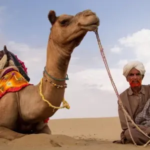 Explore The Royal Rajasthan Journey  : 8 Days! for 8 days with  Taj Voyages Tours  and discover unforgettable experiences - Photo 11