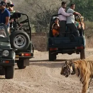 Explore Luxury Delhi, Jaipur & Agra Tour with Ranthambore (5-Star Hotel)! for 7 days with  Taj Voyages Tours  and discover unforgettable experiences - Photo 10