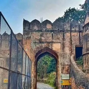 Explore From Delhi: 3 Day Tour of Ranthambore Tiger Safari!! for 3 days with  Taj Voyages Tours  and discover unforgettable experiences - Photo 6