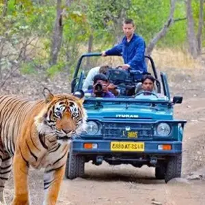 Explore From Delhi: 3 Day Tour of Ranthambore Tiger Safari!! for 3 days with  Taj Voyages Tours  and discover unforgettable experiences - Photo 10