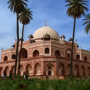 Explore 5 Nights 6 Days Golden Triangle Tour With Tigers! for 6 days with  Taj Voyages Tours  and discover unforgettable experiences - Photo 4