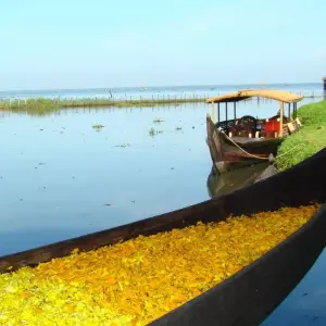 Explore From Cochin: Kerala Family Tour with Munnar & Alleppey for 4 days with  Taj Voyages Tours  and discover unforgettable experiences - Photo 5