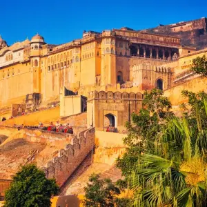 Explore From Delhi: India's Luxury Golden Triangle with Leopard Safari & Sunrise Taj Mahal for 7 days with  Taj Voyages Tours  and discover unforgettable experiences - Photo 4