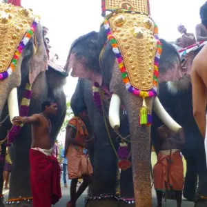 Explore Cochin: 5-Day Kerala Tour with Munnar, Thekkady and Alleppey for 5 days with  Taj Voyages Tours  and discover unforgettable experiences - Photo 10