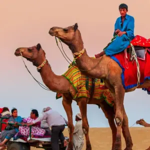 Explore 2 Nights 3 Days Golden City Jaisalmer Tour for 3 days with  Taj Voyages Tours  and discover unforgettable experiences - Photo 7