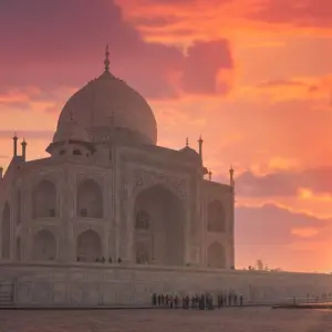 Explore From Delhi: India's Luxury Golden Triangle with Leopard Safari & Sunrise Taj Mahal for 7 days with  Taj Voyages Tours  and discover unforgettable experiences - Photo 6