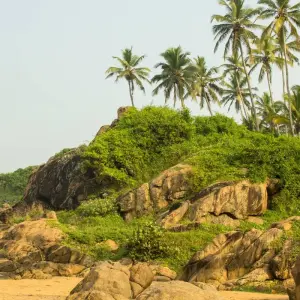 Explore 09 Days Beautiful Kerala Tour! for 9 days with  Taj Voyages Tours  and discover unforgettable experiences - Photo 5