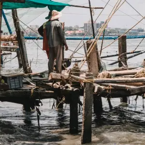 Explore From Cochin: 8 Day Kerala Tour Package with Houseboat Cruise for 8 days with  Taj Voyages Tours  and discover unforgettable experiences - Photo 9