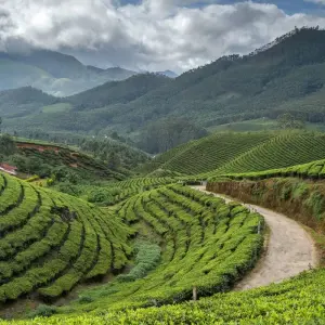 Explore Kerala Heritage Odyssey (8 Nights 9 Days) for 9 days with  Taj Voyages Tours  and discover unforgettable experiences - Photo 8