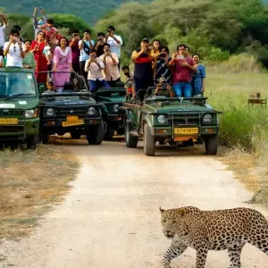 Explore From Delhi: India's Luxury Golden Triangle with Leopard Safari & Sunrise Taj Mahal for 7 days with  Taj Voyages Tours  and discover unforgettable experiences - Photo 10