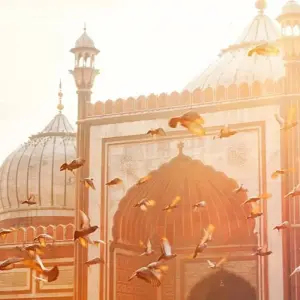 Explore Explore: Golden Triangle Tour Delhi | Agra | Jaipur Tour! for 5 days with  Taj Voyages Tours  and discover unforgettable experiences - Photo 5