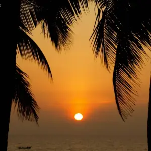 Explore 09 Days Beautiful Kerala Tour! for 9 days with  Taj Voyages Tours  and discover unforgettable experiences - Photo 8