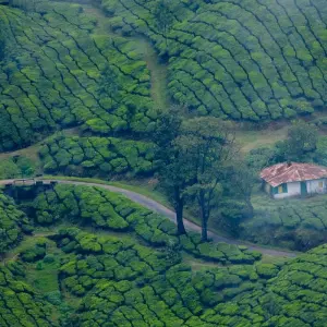 Explore 09 Days Beautiful Kerala Tour! for 9 days with  Taj Voyages Tours  and discover unforgettable experiences - Photo 9