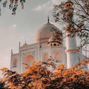 Explore 08 Days - Colorful Golden Triangle Tour With Udaipur Lake City!! for 8 days with  Taj Voyages Tours  and discover unforgettable experiences - Photo 9