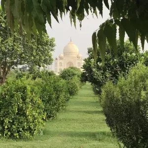 Explore India's Top Selling Golden Triangle India Tour with all Meals & Sunrise Taj Mahal! for 5 days with  Taj Voyages Tours  and discover unforgettable experiences - Photo 4