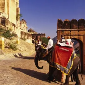 Explore India's Top Selling Golden Triangle India Tour with all Meals & Sunrise Taj Mahal! for 5 days with  Taj Voyages Tours  and discover unforgettable experiences - Photo 9