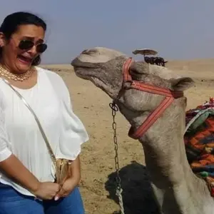 Explore Short Stay 2 Day Cairo Tour (Hotel 5* in Central of Cairo - Airport Private Arrival & Transfer) for 2 days with  Ibermundo Travel Egypt and discover unforgettable experiences - Photo 4