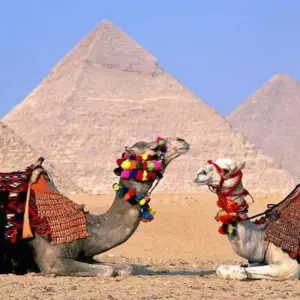 Explore Experiences Egypt Tour 9 Days - 8 Nights (4 N in Cruise Luxor 5*  -  4 N In Cairo Hotel 5* ) for 9 days with  Ibermundo Travel Egypt and discover unforgettable experiences - Photo 9