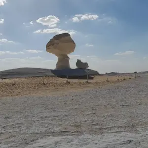 Explore 2-Days Bahariya Oasis Camp and White and Black Desert Tour From Cairo for 2 days with  Black Camel Tours e. U. and discover unforgettable experiences - Photo 8