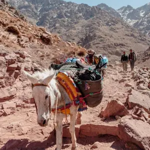 Explore 3-Day Atlas Mountains Cultural Trek & Valley Stay for 3 days with  Amazigh Voyage and discover unforgettable experiences - Photo 3