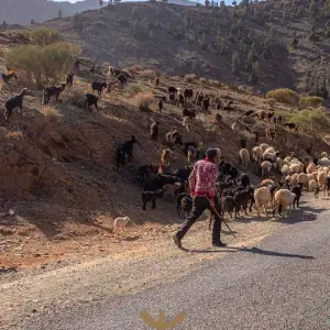 Explore 3-Day Atlas Mountain Trek: Valleys, Villages & Berber Trails” for 3 days with  Amazigh Voyage and discover unforgettable experiences - Photo 7