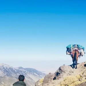 Explore Toubkal Explorer: 3-Day Guided Trek through the Atlas Mountains for 3 days with  Amazigh Voyage and discover unforgettable experiences - Photo 8