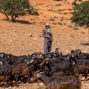 Explore 3-Day Atlas Mountain Trek: Valleys, Villages & Berber Trails” for 3 days with  Amazigh Voyage and discover unforgettable experiences - Photo 8