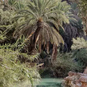 Explore 8 days (Private Guided tour) | Explore Morocco’s highlights for 8 days with  Amazigh Voyage and discover unforgettable experiences - Photo 6