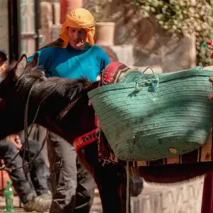 Explore 3-Day Atlas Mountains Cultural Trek & Valley Stay for 3 days with  Amazigh Voyage and discover unforgettable experiences - Photo 9