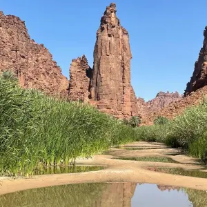 Explore The Heritage Route - Riyadh to Jeddah for 10 days with 88 Destinations Travel and discover unforgettable experiences - Photo 4