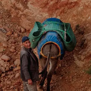 Explore 3-Day Atlas Mountain Trek: Valleys, Villages & Berber Trails” for 3 days with  Amazigh Voyage and discover unforgettable experiences - Photo 10