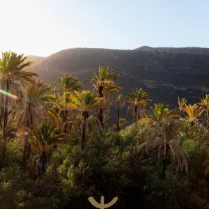 Explore From Peaks to Dunes: 4-Day Atlas & Sahara Journey for 4 days with  Amazigh Voyage and discover unforgettable experiences - Photo 9