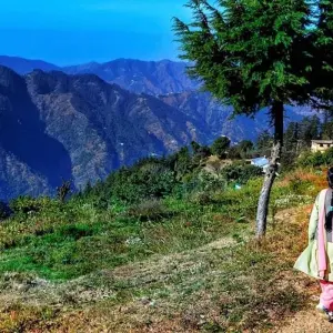 Explore 7 Nights / 8 Days - Shimla Manali Kullu Tour for 8 days with 707 Tours and discover unforgettable experiences - Photo 2