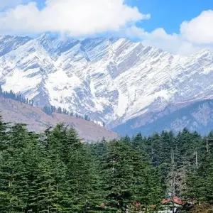 Explore 7 Nights / 8 Days - Shimla Manali Kullu Tour for 8 days with 707 Tours and discover unforgettable experiences - Photo 4