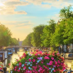 Explore Rhine Experience Amsterdam & Rotterdam 2026 for 8 days with A-ROSA and discover unforgettable experiences - Photo 3