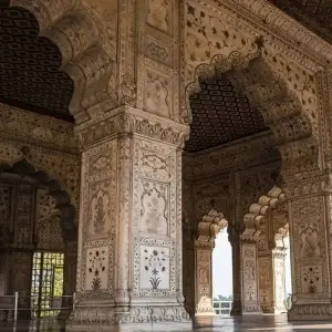 Explore Golden triangle with Ranthambore tours for 7 days with 707 Tours and discover unforgettable experiences - Photo 7