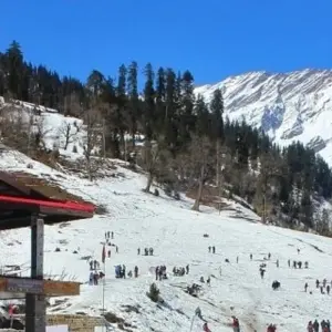 Explore 7 Nights / 8 Days - Shimla Manali Kullu Tour for 8 days with 707 Tours and discover unforgettable experiences - Photo 11