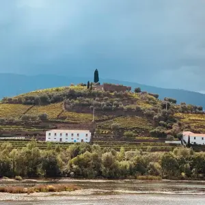 Explore Douro Experience 2025 for 8 days with A-ROSA and discover unforgettable experiences - Photo 9