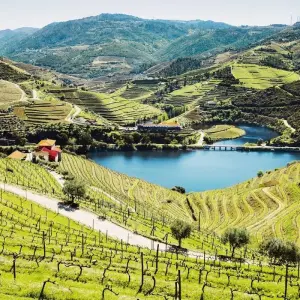 Explore Douro Experience 2025 for 8 days with A-ROSA and discover unforgettable experiences - Photo 10