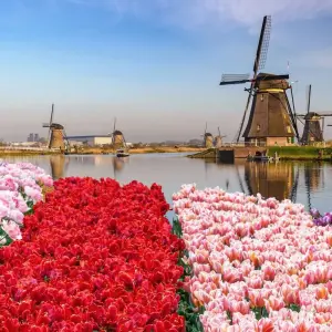 Explore Rhine City Experiences 2026 for 6 days with A-ROSA and discover unforgettable experiences - Photo 7