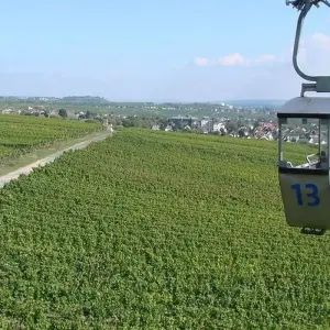 Explore Rhine Mini Cruise Main & Lorelei 2026 for 5 days with A-ROSA and discover unforgettable experiences - Photo 11