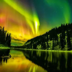 Explore Alaska Northern Lights Adventure for 9 days with 1000 Treks and discover unforgettable experiences - Photo 9