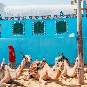 Explore 8 Days Nubian Dream Voyage for 8 days with AB Voyages Egypt and discover unforgettable experiences - Photo 4